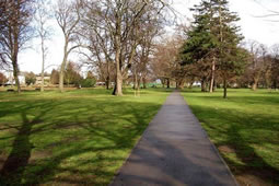 Major Music Event Planned for Acton Park