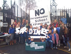 Derwentwater Sardines in Acton