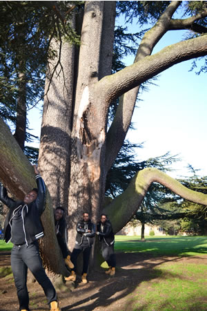 Photography Exhibition at Boston Manor Park's Pavilion Cafe