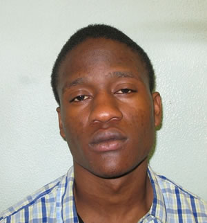 Hounslow Teen Jailed for Attack on Woman in Isleworth