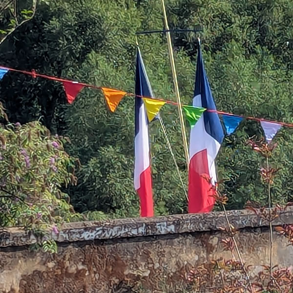 French Flags 