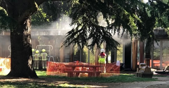 A tree in front of a building Description automatically generated