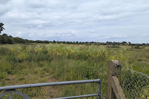 Hatton Fields 