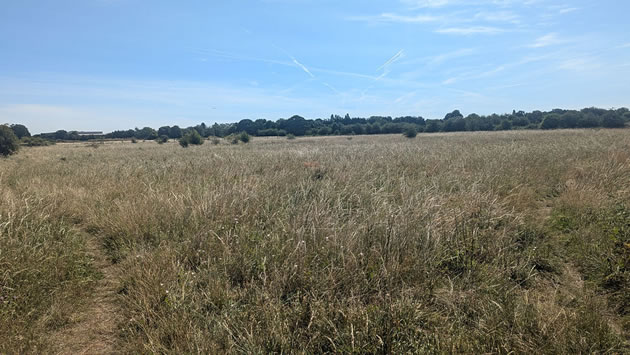 Hatton Fields 