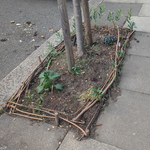 North Acton tiny garden 