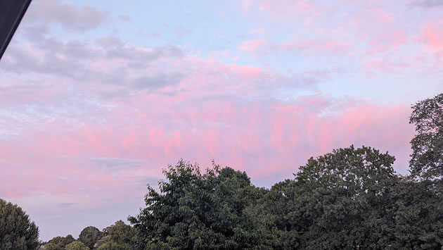Pink sky 