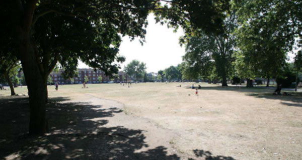 chiswick back common large pic
