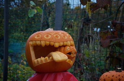 Northfiields Allotments