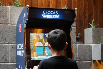 retro gameboy in Chooks