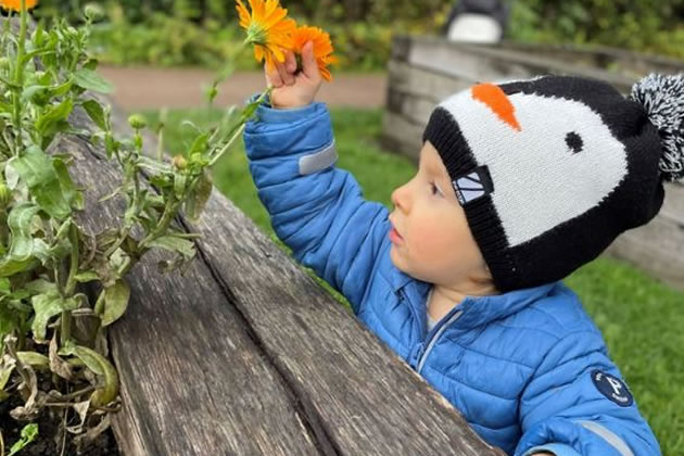 Garden by Zachary Avedian