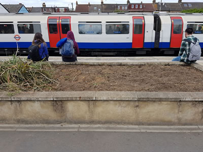 Before shot Northfields herb garden)