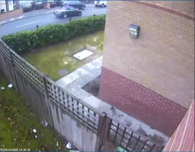 Toyota MR2 being driven in Adrienne Avenue shortly after the collision