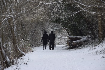 hanwell snow - Liz Jenner