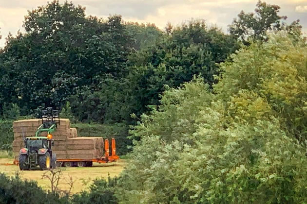 Hay bailing in Trumpers Field